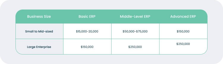 How Much Do ERP Development Services Cost?