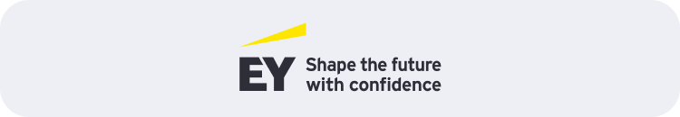 A Technical Due Diligence Service Company